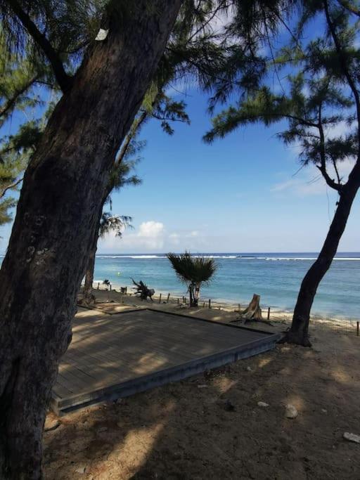Appartement Beau T3 Litchi Vue Ocean Piscine à Saint-Gilles Les Bains Extérieur photo